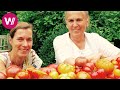 Burgenland - Cooking Tomatoes like Granny | What's cookin'