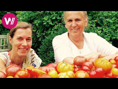 Video: Ricette Burgenland - Ricette Burgenland