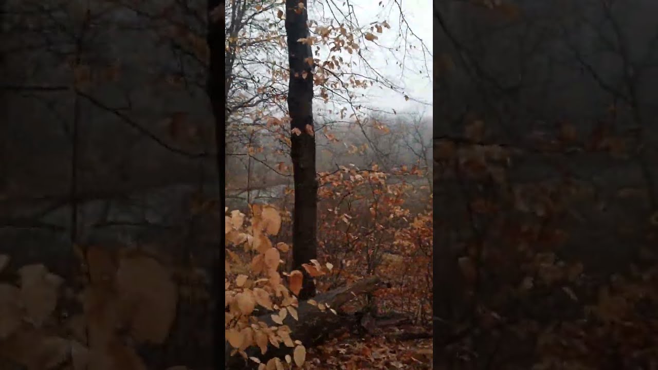 Highbanks at Wolcott Mill