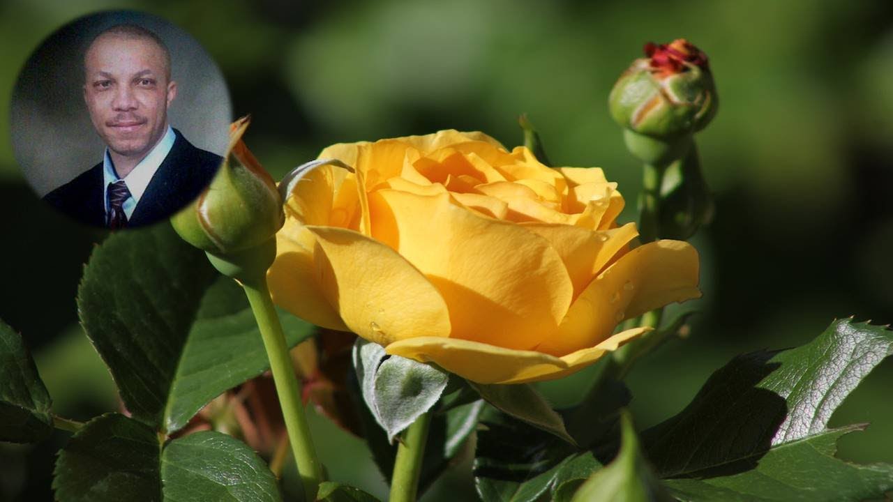 matter-of-the-heart-stanley-okorie-youtube