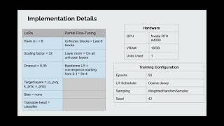 Evaluating Generalization and Transferability in Foundation Models for Ocular Diseases