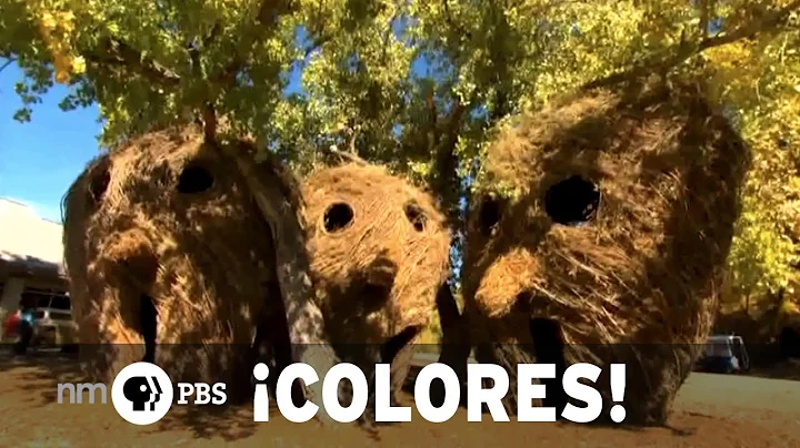 NMPBS Colores!:Patrick Dougherty