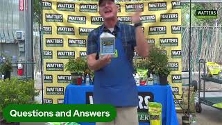 Information Avoid these Common Pest at All Cost News