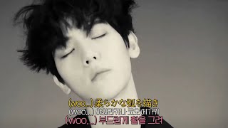 [BAEKHYUN] '처음이야 이런 기분' 백현 - WHIPPIN’ [가사 발음/한국어/번역]