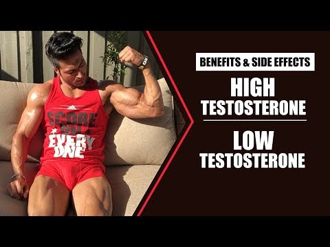 HIGH Testosterone v/s LOW Testosterone | info by Guru Mann