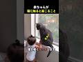 赤ちゃんが猫に触ると起こること