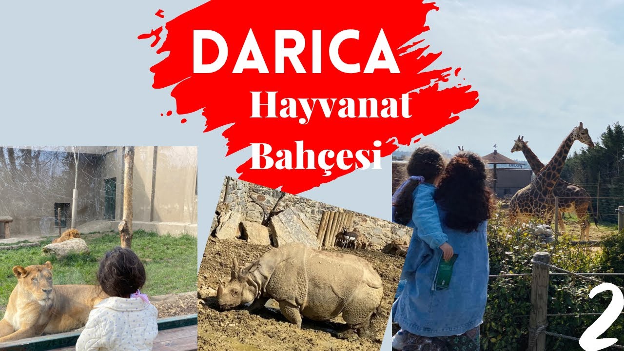 DARICA Hayvanat Bahçesi, Önemli Bilgiler, 4k, İstanbuldan Darıcaya Nasıl gidilir, part2