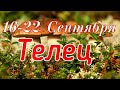 ТЕЛЕЦ. С 16 ПО 22 СЕНТЯБРЯ 2019. ТАРО-ПРОГНОЗ.