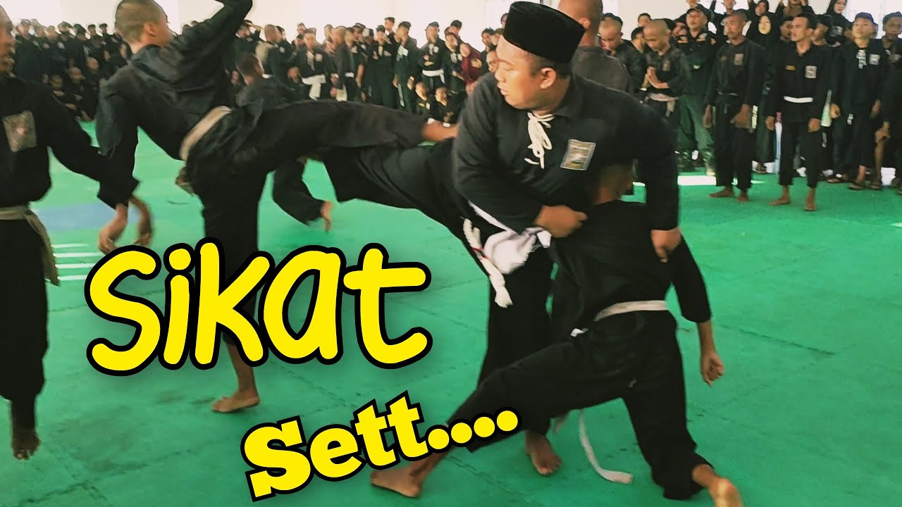 SAMBUNG PSHT || TES PENDADARAN || #PART 01 || PSHT PUGER || CAWAR 2023 ...