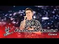 Fernando Daniel canta "Espera" | Gala | The Voice Portugal