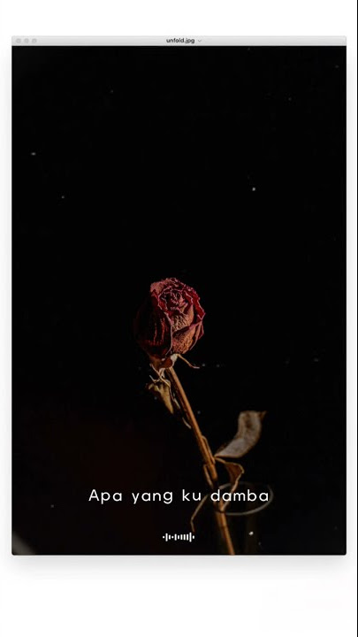 Antara Kita - Andy Liany #andyliany #overlay #lirik #flashback #shorts