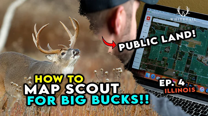 Find BIG BUCKS on ILLINOIS PUBLIC LAND! Do this!!!