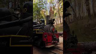 A Magical Train Ride Outside Yosemite National Park