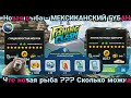 Новая рыба - МЕКСИКАНСКИЙ ГУБАН / Игровой процесс/Fishing Clash: Реальная рыбалка