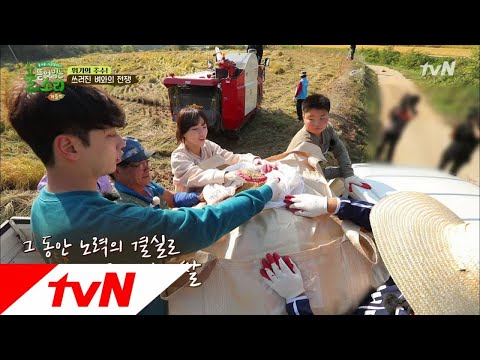 이 맛에 농사하쥬! 쌀이 하늘에서 내려와~♪ 풀 뜯어먹는 소리-가을편 7화
