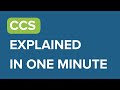 Ccs explained in one minute