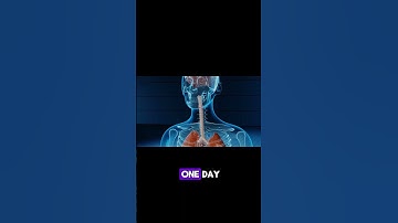 Meet the Axolotl: The Adorable Underwater Salamander with Superpowers!