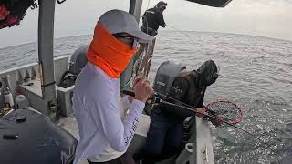 Julie power, Mackeral on Tai Rubber PT.2