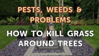 How to Kill Grass Around Trees