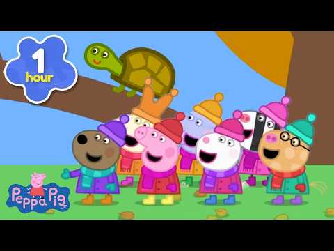 🐢 Záchrana želvy uvízlé ve stromě! | Prasátko Peppa | Karikatury pro děti