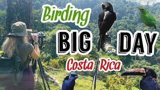 Birding at NECTAR POLLEN RESERVE in Costa Rica  October Big Day | Wonders of CR Episode 4