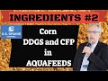 Use Of DDGS And Corn Fermented Protein In Aquafeeds Use Of DDGS And Corn Fermented Protein In Aquafeeds