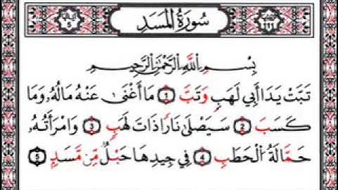 سورة المسد (111) الشيخ احمد بن على العجمى