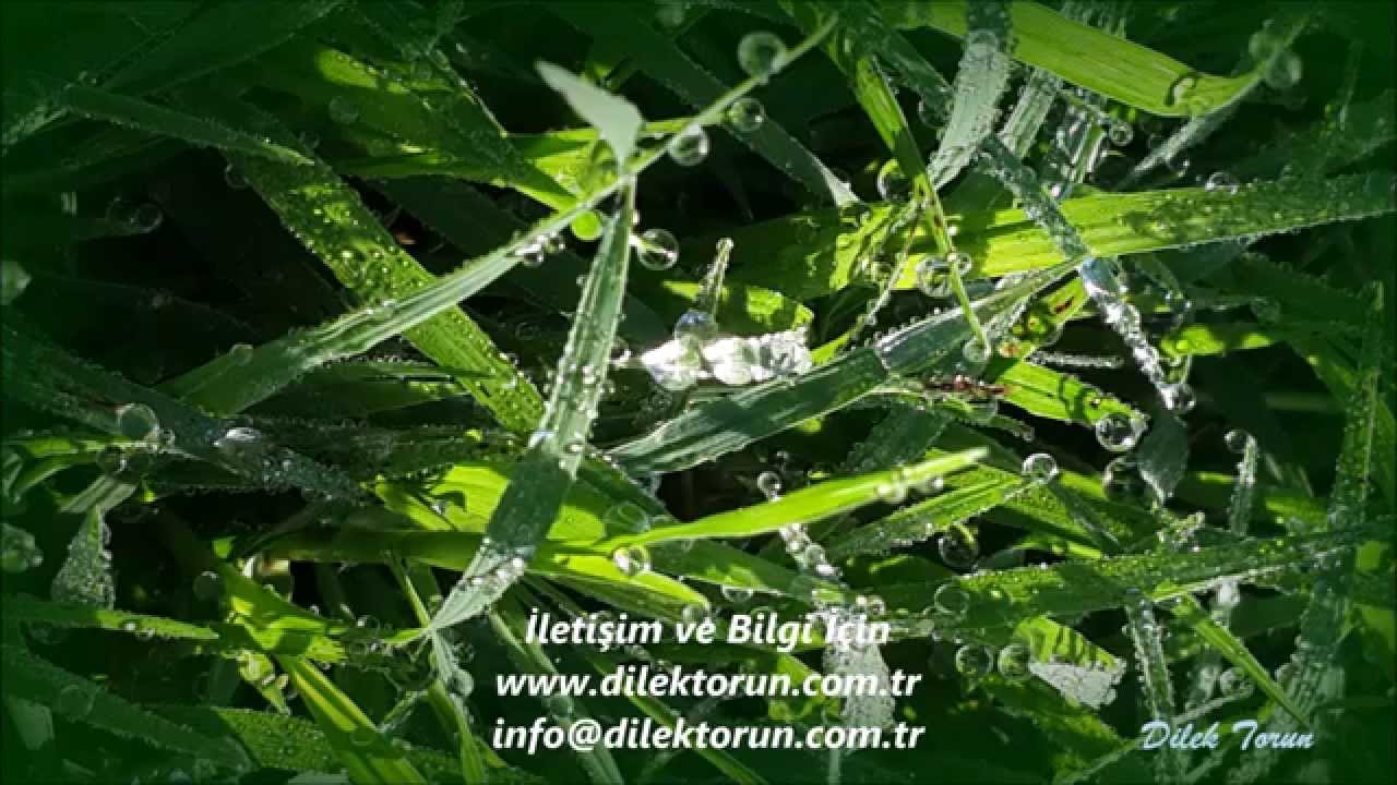 semra cilara adli kullanicinin meditasyon panosundaki pin meditasyon