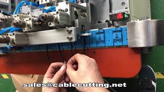 Celebrity automatic usb type c cable soldering machine Wealth