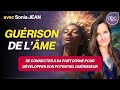 Gurir les blessures de lme  sonia jean