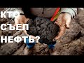 КТО СЪЕЛ НЕФТЬ?