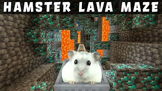 Hamster in Roller Coaster in LAVA MAZE Minecraft