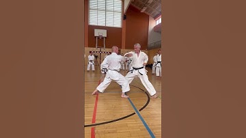 KIHON PRACTICE. !!! #karate #karatedo #dojo #martialarts #kihon #sports #fighter #like #shorts #fyp