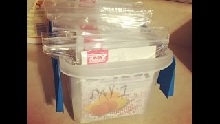 Advocare 10 Day Cleanse| My Experience!
