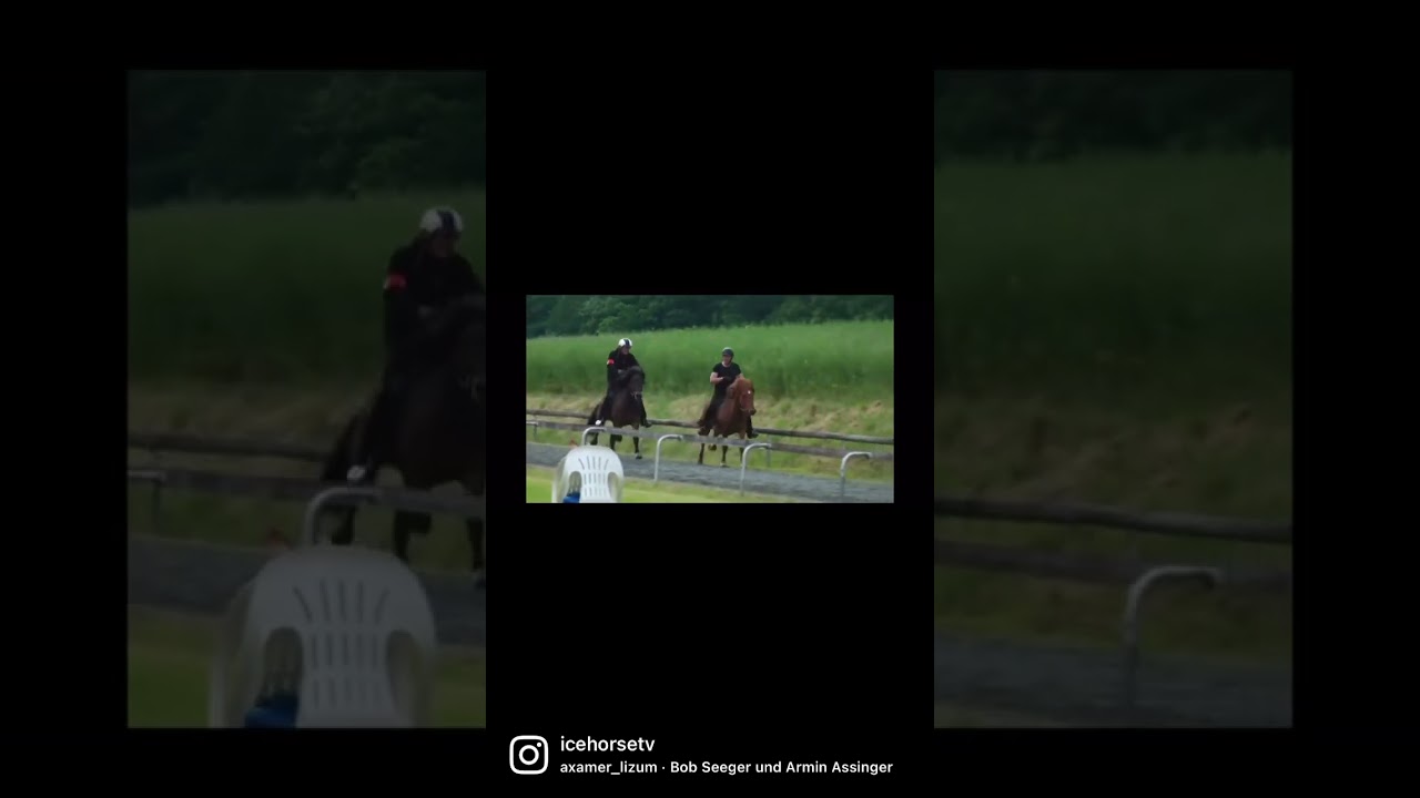 Rennpasser auf Islandpferde Turnier