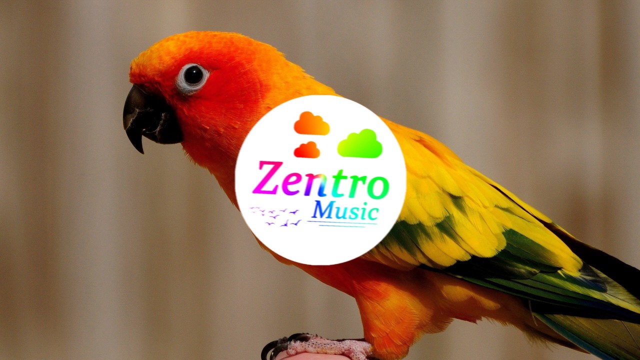 Logan Paul - Help Me Help You (GARABATTO Remix)