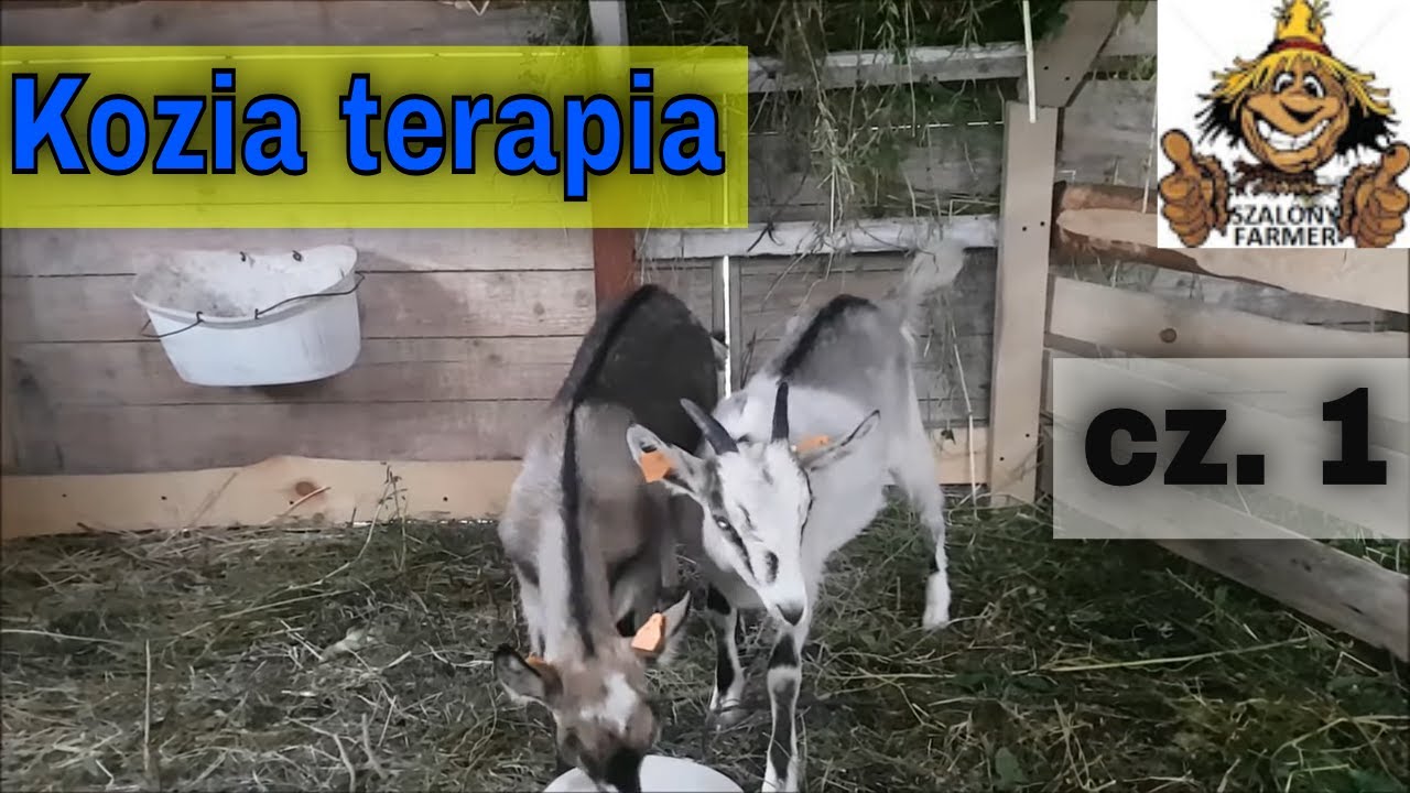 Kozia terapia. cz. 1  