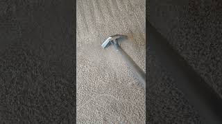 Ionic Fresh Carpet Cleaning Services