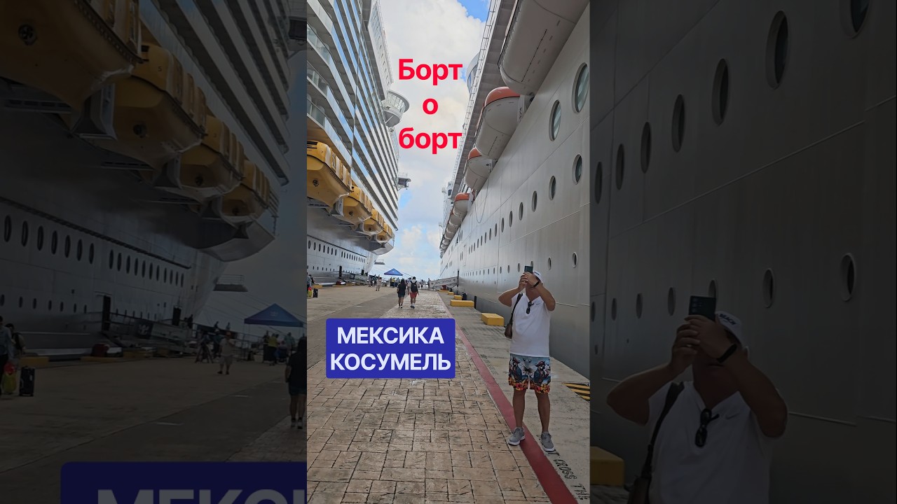 Борт о борт стоят два гиганта MSC DIVINA и HARMONY of the SEAS #umarkeyn #cruiseship #4k #мексика