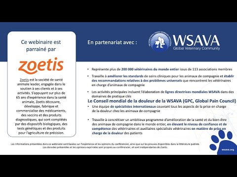 Vidéo: Les humains peuvent-ils prendre du robenacoxib ?