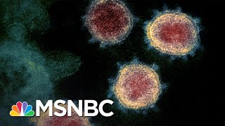 How Systemic Inequality Leads To More People Of Color Dying From Coronavirus | The 11th Hour | MSNBC