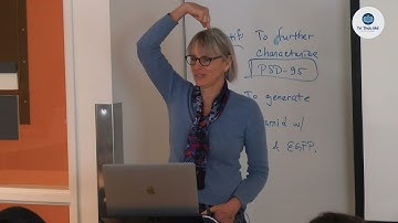 Bài Giảng 9: Điều Hướng Không Gian II | Não Bộ Con Người MIT | Nancy Kanwisher | Song Ngữ by The...