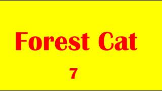 Forest Cat 7