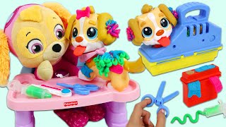 Paw Patrol Baby Skye Adopts A Cute Puppy