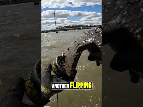 Insane Anchor Catch! We Found TREASURE! #shorts