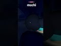 Did I almost catch you?!