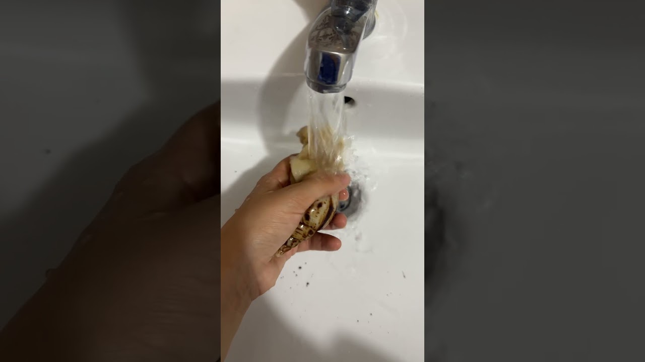 Etinin dokusu tavuk eti ile aynı his ama daha yumuşak çünkü gözleme yumuşak #yumuşak #soft #shower