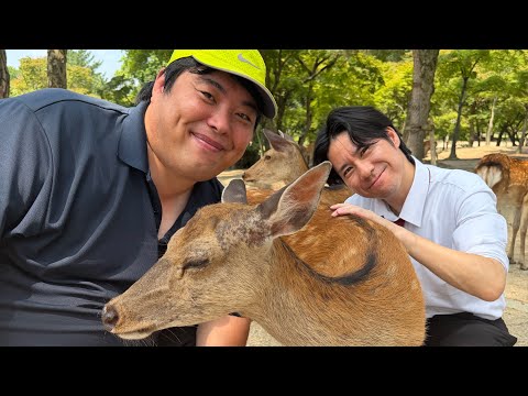 Protecting Nara Park's Deer from Foreign Tourists with Hezumaryu (Part 1)