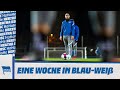 HaHoHe - Eine Woche in Blau-Weiß | 13. Spieltag | SC Freiburg vs. Hertha BSC