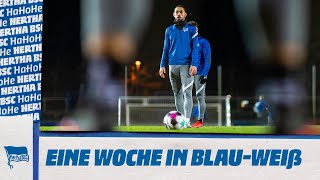 HaHoHe - Eine Woche in Blau-Weiß | 13. Spieltag | SC Freiburg vs. Hertha BSC